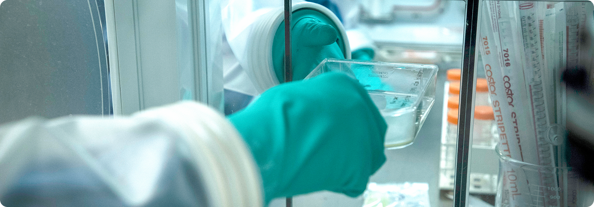 Process and analytical development