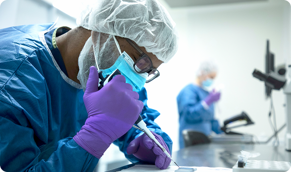 Boreal researchers at work