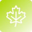 Maple leaf icon