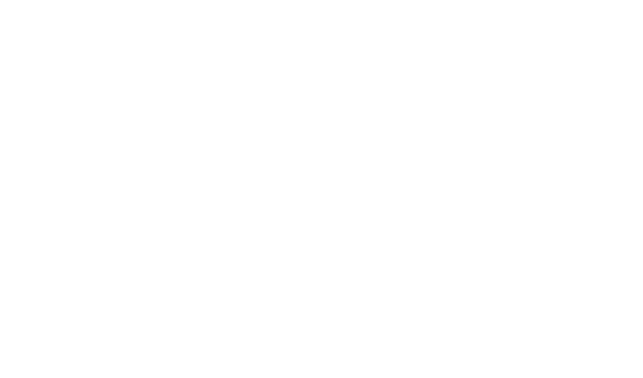 Stem Cell Network